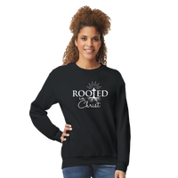 Load image into Gallery viewer, 8221a891-4f69-4ca4-b374-edf69a0f2f81
